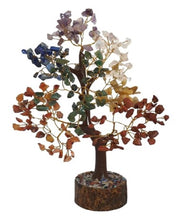 Seven Chakra Bonsai Money Tree